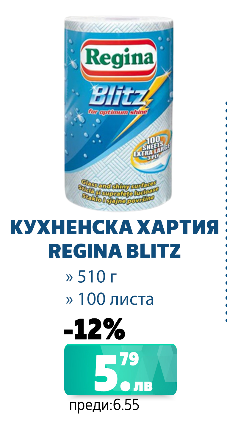 КУХНЕНСКА РОЛКА REGINA BLITZ 100 ЛИСТА 510 G